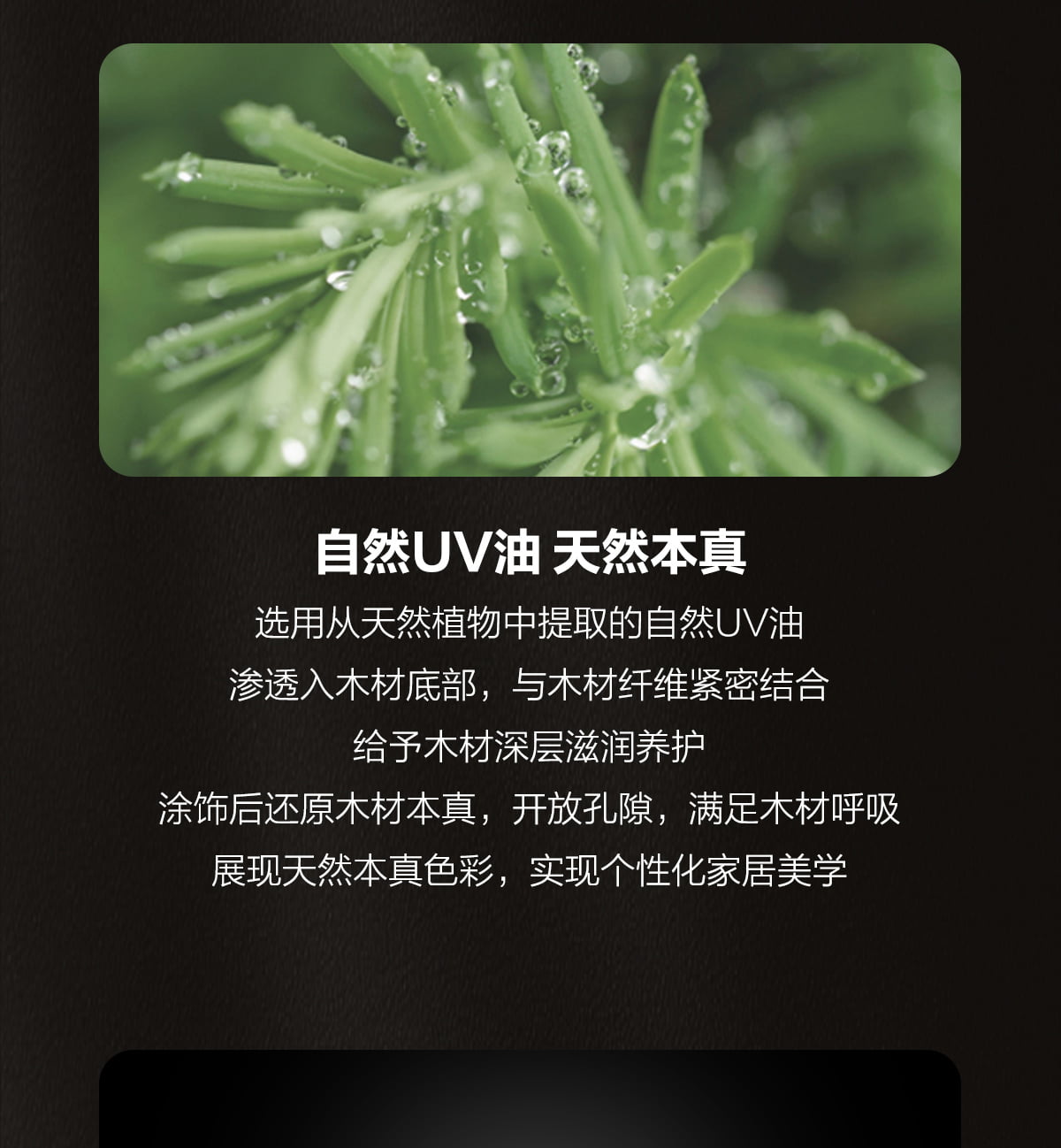 16c722a8-9e35-4cec-998d-e6b721b8b976 (1)